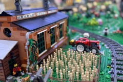 IMG_8805