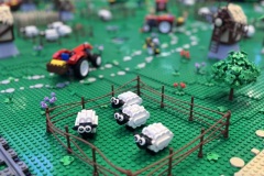 IMG_8830